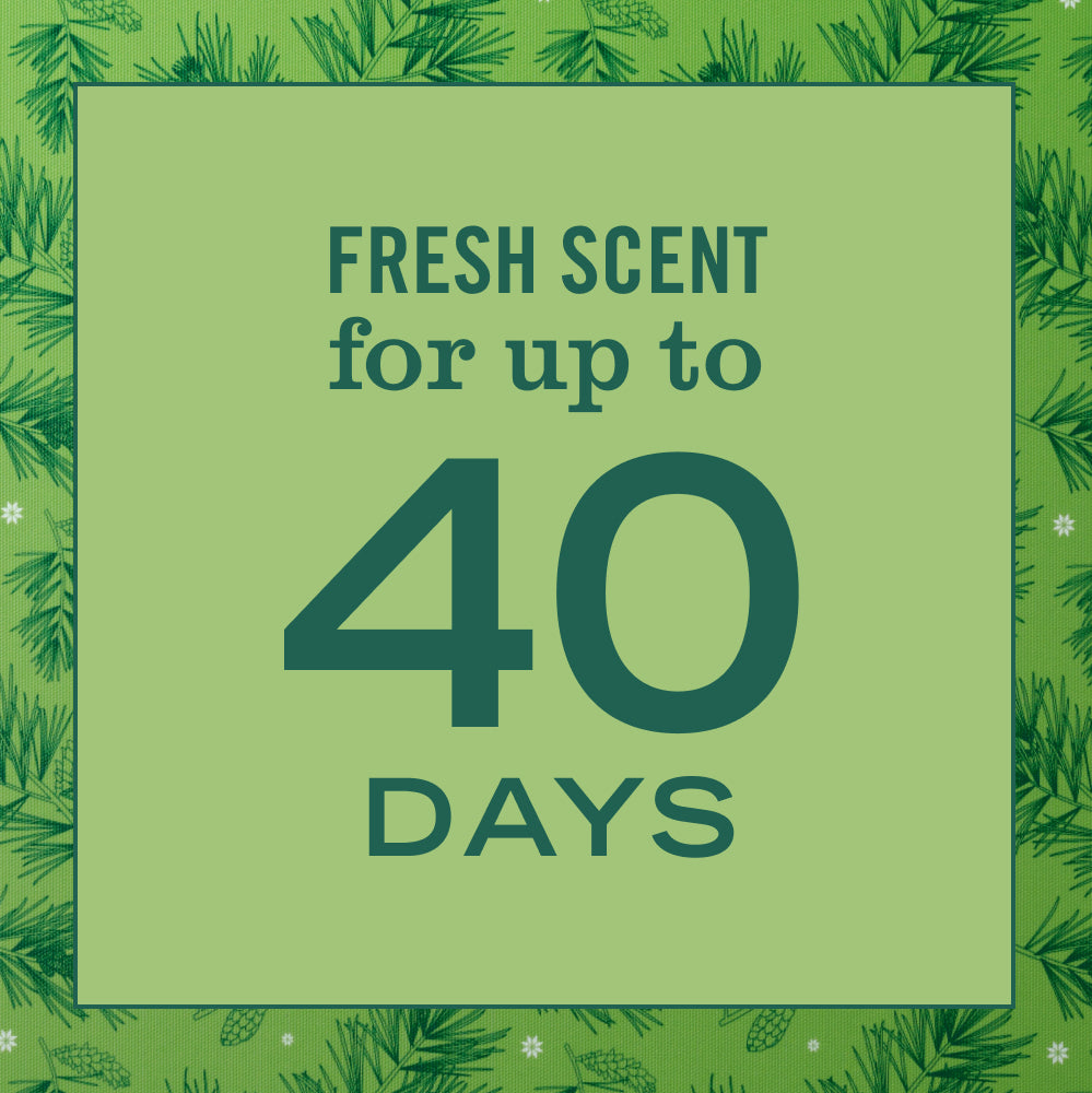 Iowa Pine Plug In Scented Oil Refill. 2-Pack - Image 8